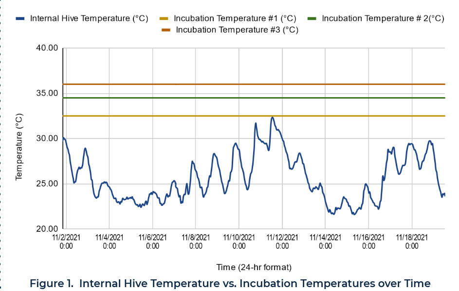 Figure 1. Internal Hive Temperature vs. Incubation Temperatures over Time