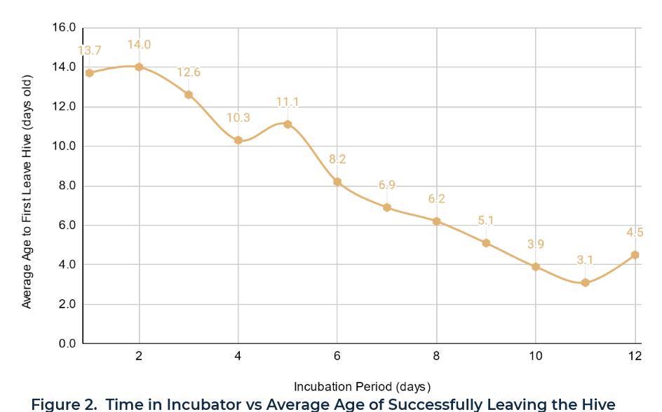 Figure 2. Time in Incubator vs Average Age of Successfully Leaving the Hive