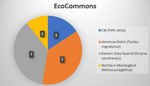 File:EcoCommons1.png